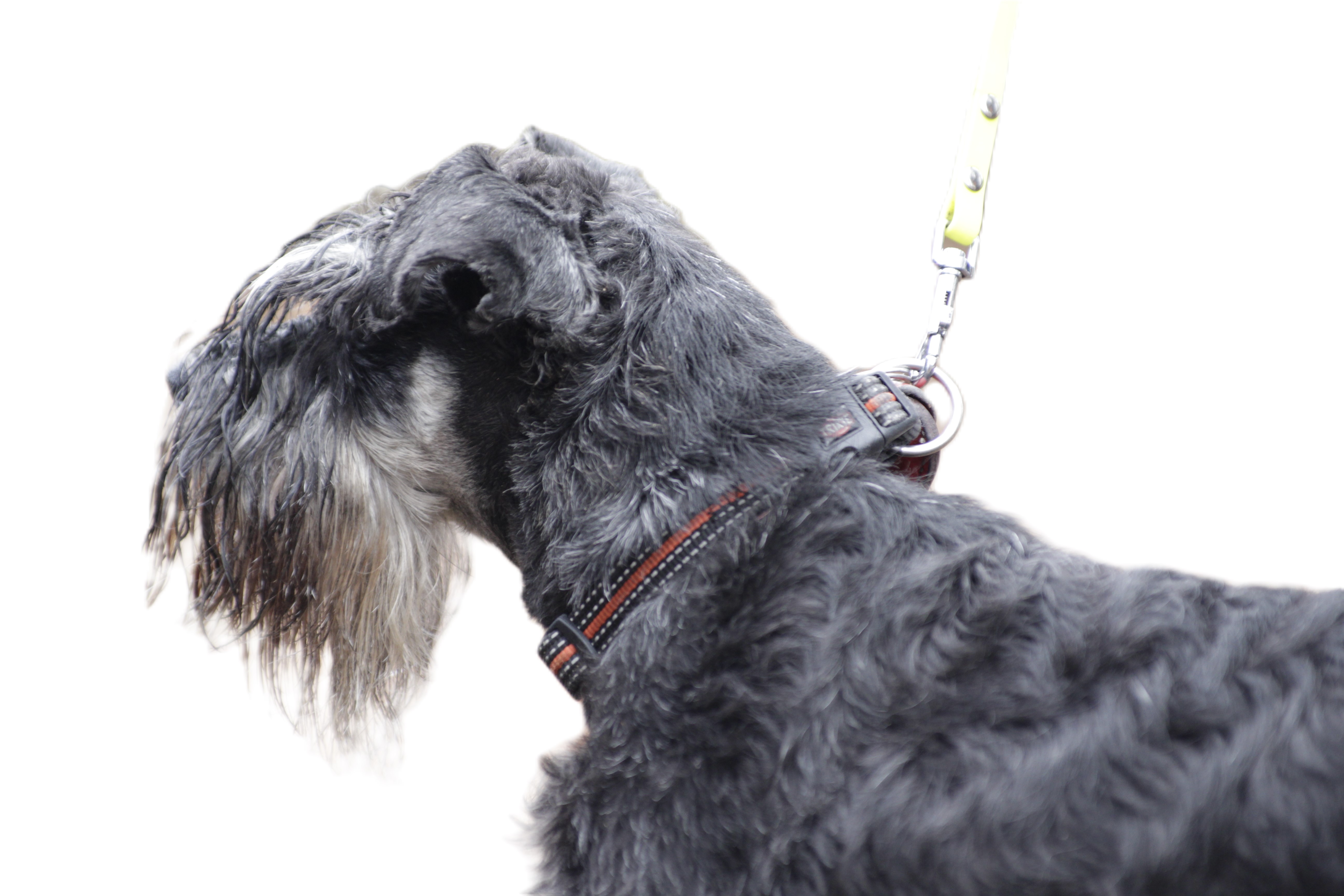 Zuhören im Training