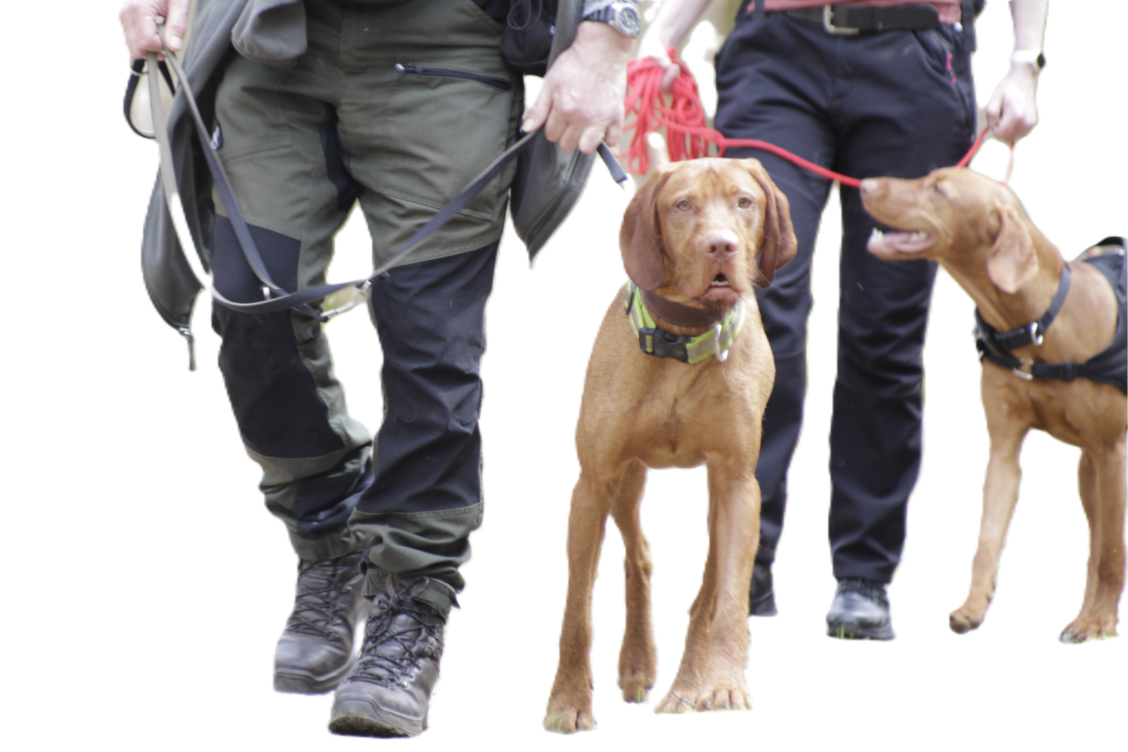 Training im Außenraum