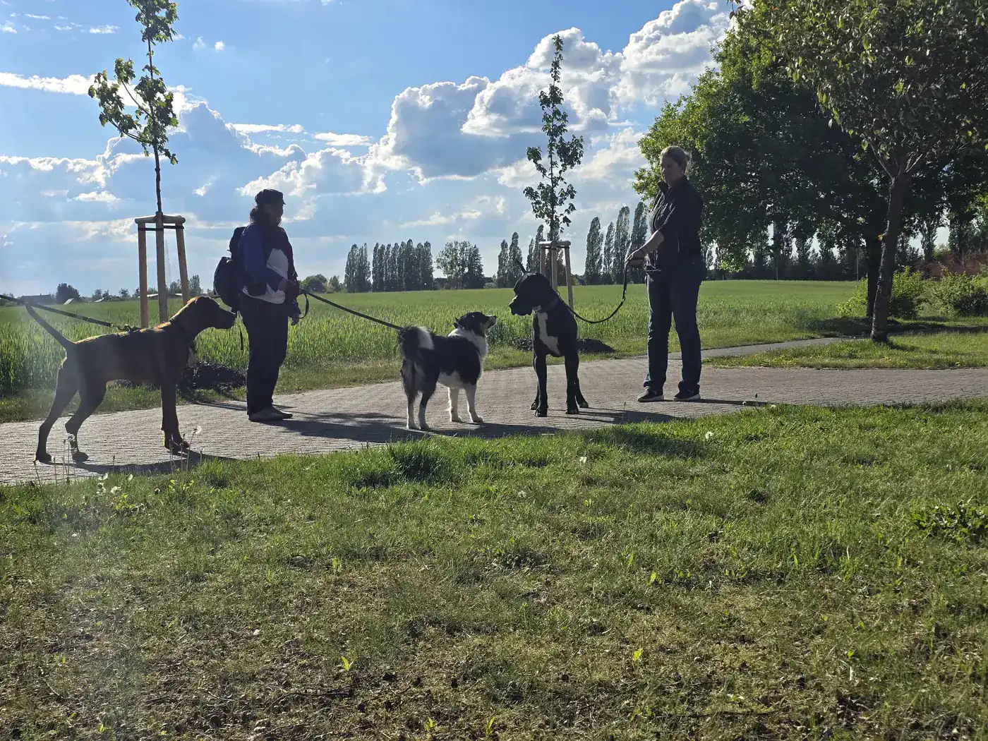 Vereinsgruppe mit angeleinten Hunden auf einer Wiese
