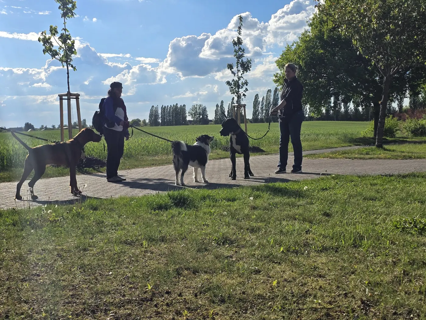 Vereinsgruppe mit angeleinten Hunden auf einer Wiese